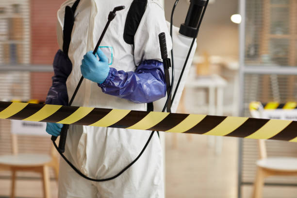 Professional Sewage Cleanup technician working in Gretna, FL